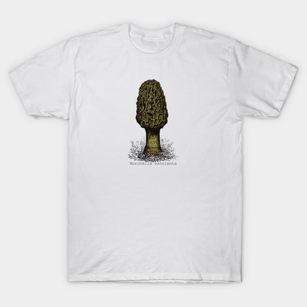 Yellow Morel T-Shirt by MSerido